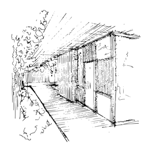 Soto_Ilustraciones_Rgb_Positivo_05